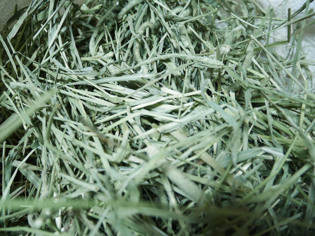 画像に alt 属性が指定されていません。ファイル名: P1340514-1024x768.jpg