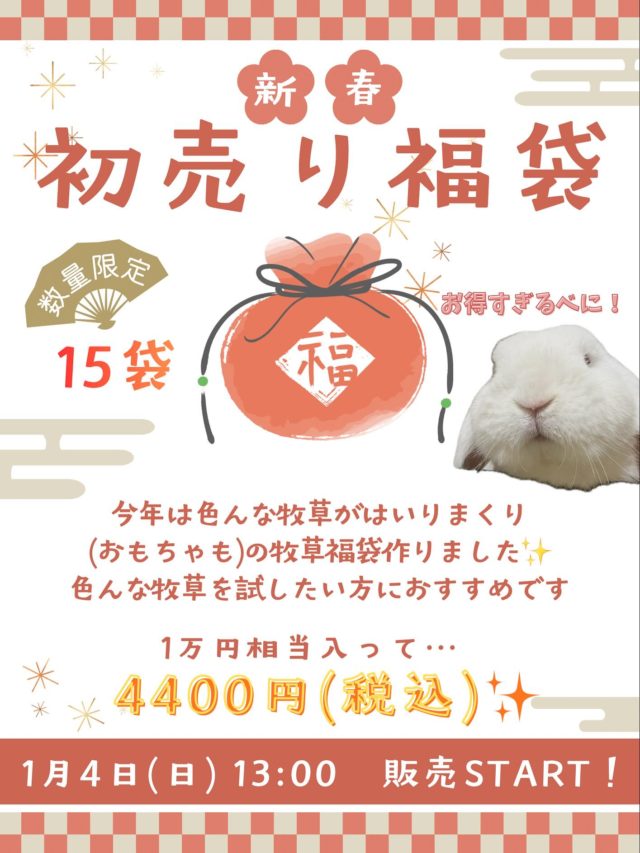 商品 | うさぎ専門店とかふぇ もふのいえ